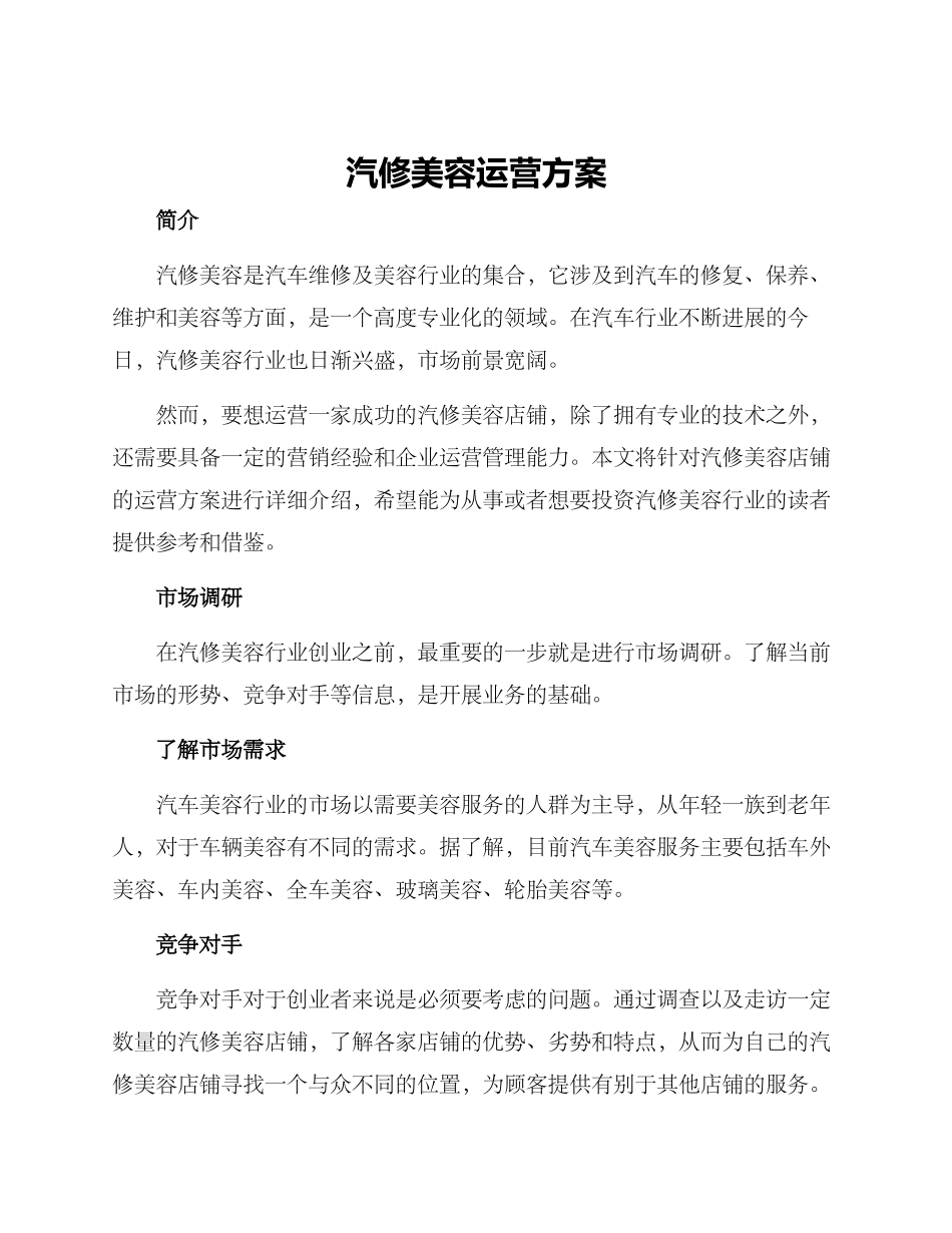 汽修美容运营方案_第1页