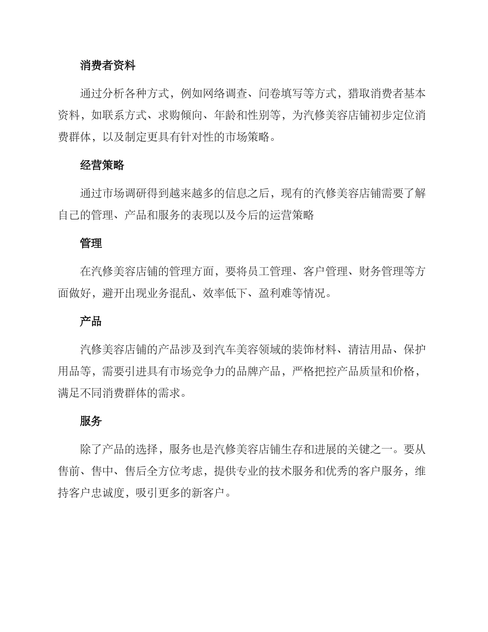 汽修美容运营方案_第2页