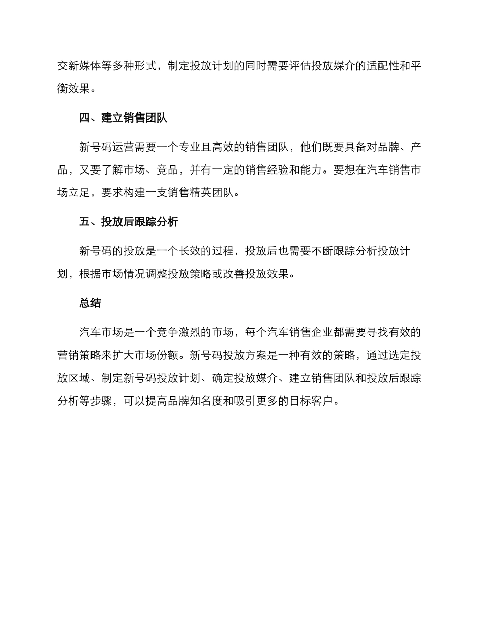 汽车新号码投放方案_第2页