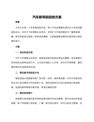 汽车新号码投放方案