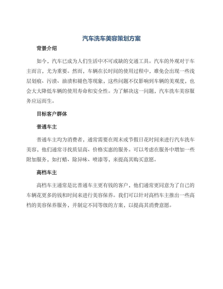 汽车洗车美容策划方案_第1页