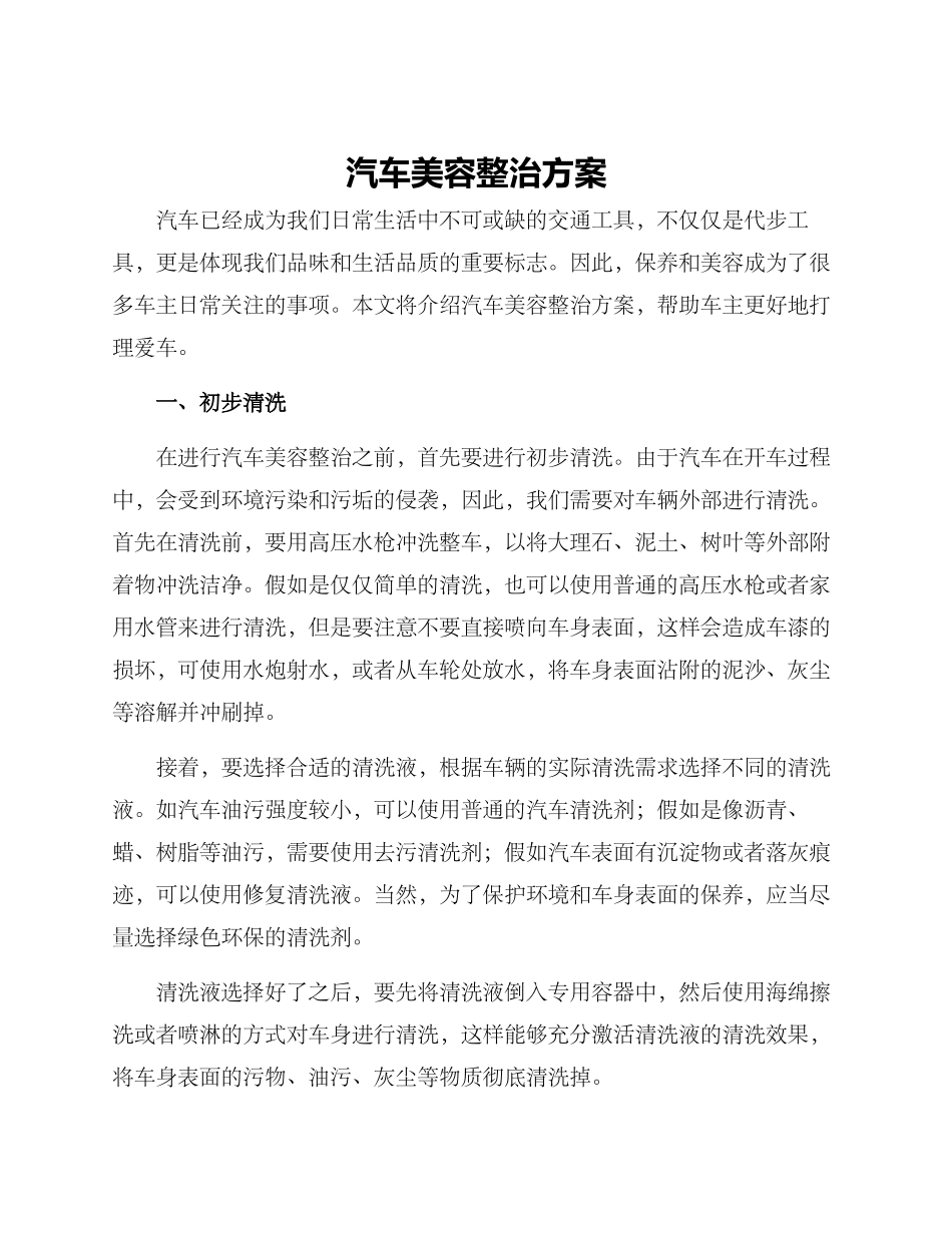 汽车美容整治方案_第1页