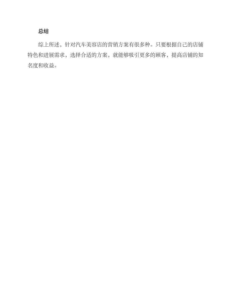 汽车美容营销方案_第3页