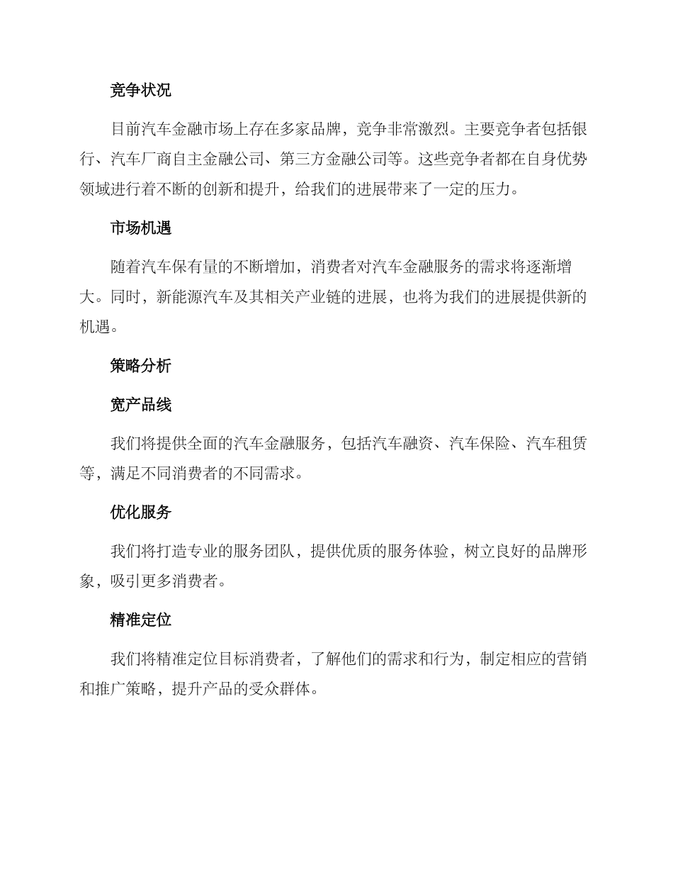 汽车金融公司企划方案_第2页