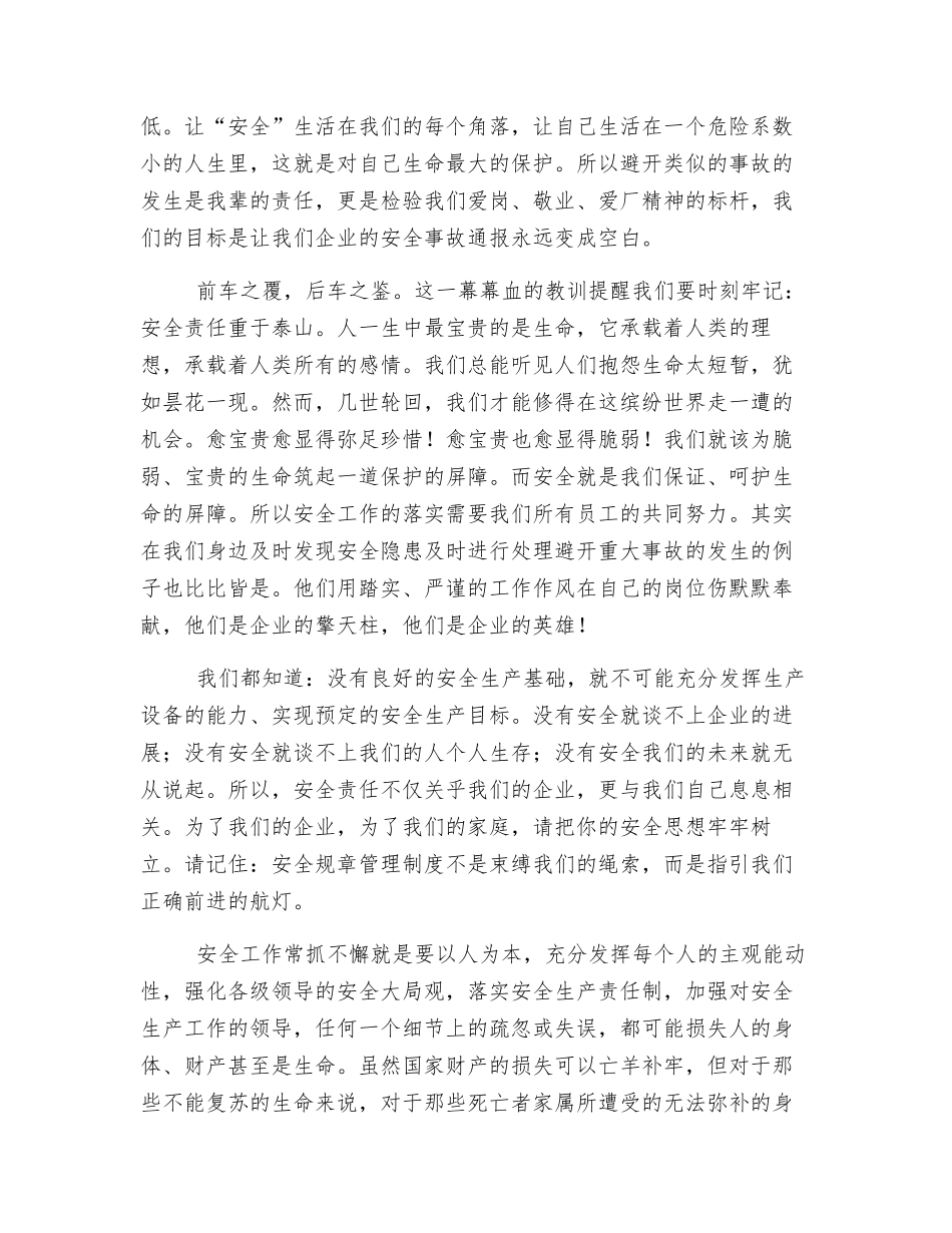 没有安全-我们将失去一切_第2页