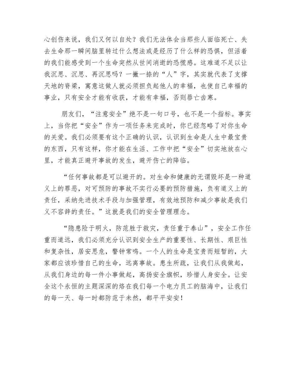 没有安全-我们将失去一切_第3页