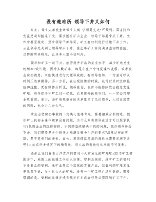 没有避难所-领导下井又如何