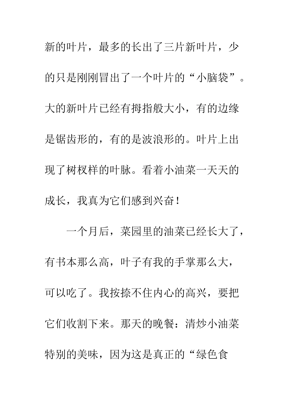 油菜成长记作文-油菜成长记教案_第3页