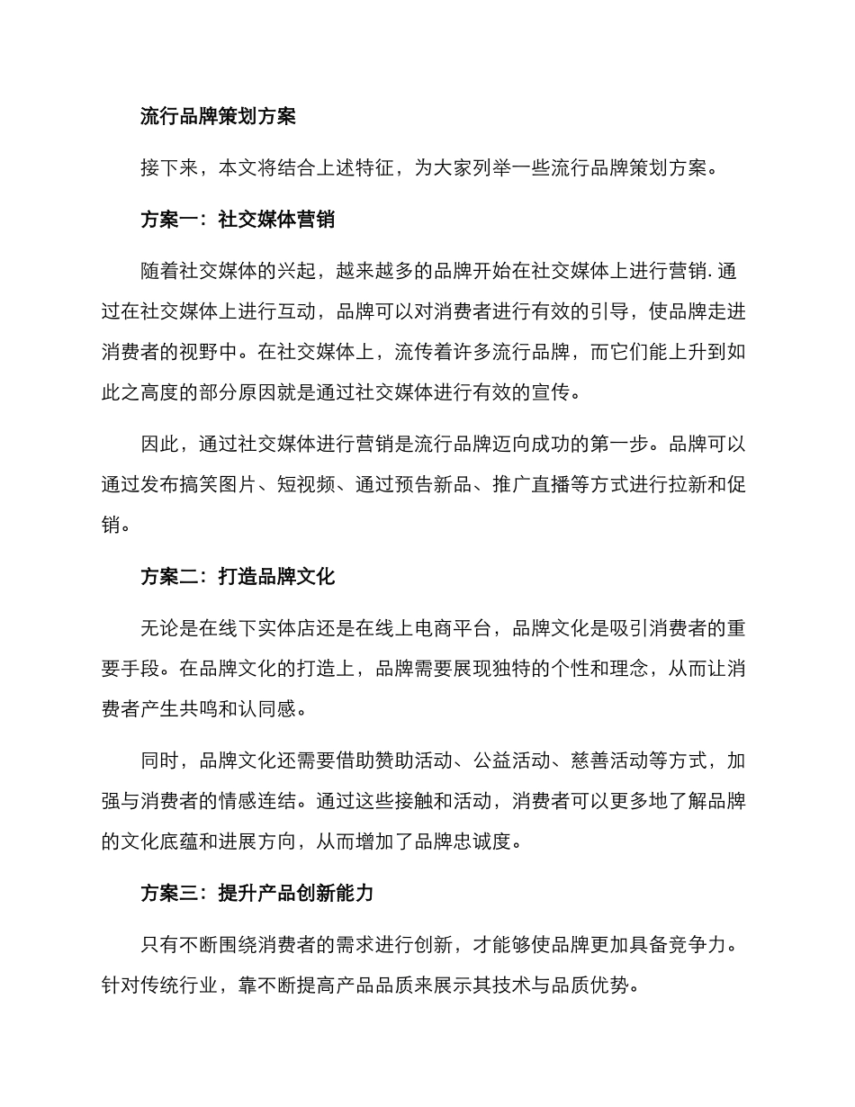 流行品牌策划方案_第2页