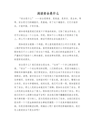 浅谈安全是什么