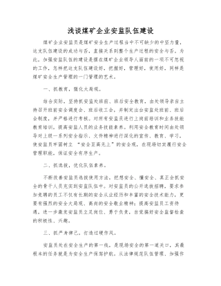 浅谈煤矿企业安监队伍建设