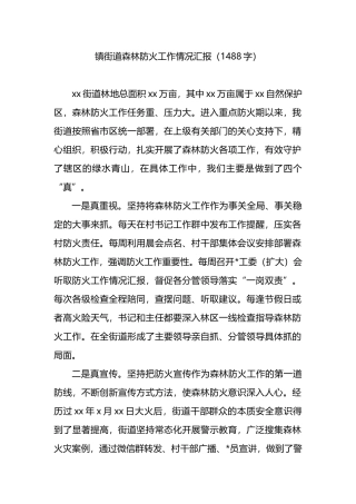 镇街道森林防火工作情况汇报
