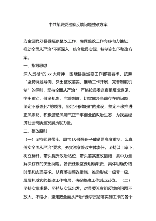 中共某县委巡察反馈问题整改方案