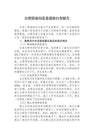 自然资源局党委巡察自查报告