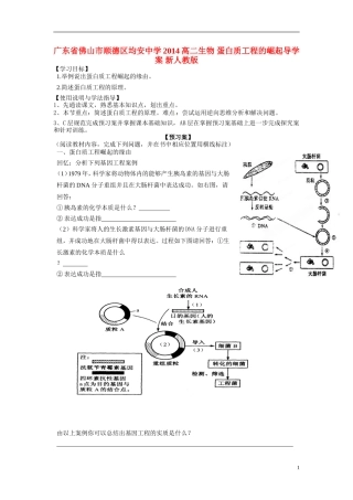 广东省佛山市顺德区均安中学2014高二生物 蛋白质工程的崛起导学案 新人教版