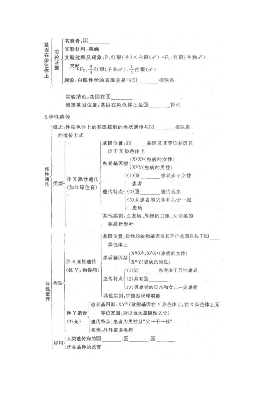 广东省中山市古镇高级中学2012届高三生物《遗传的基本定律和伴性遗传》教案 新人教版_第3页