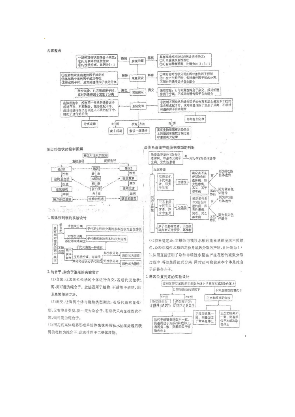 广东省中山市古镇高级中学2012届高三生物《遗传与变异》教案 新人教版_第3页