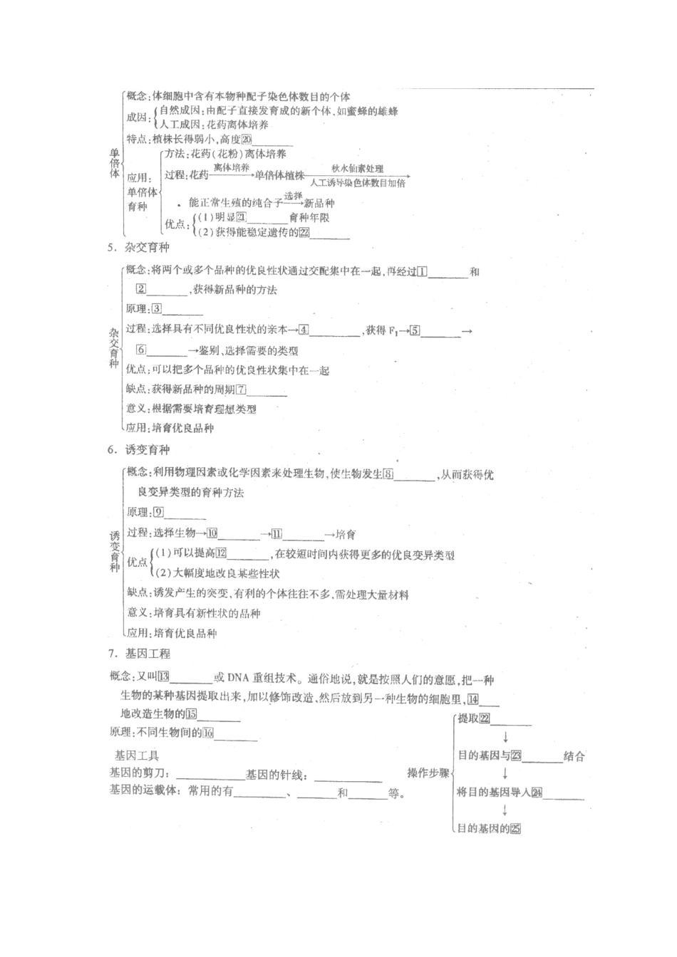 广东省中山市古镇高级中学2012届高三生物复习《变异、育种和进化》教案 新人教版_第3页