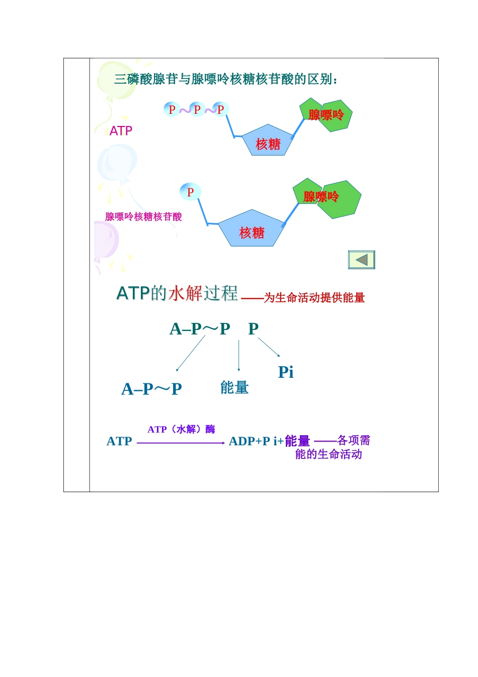 广东省德庆县孔子中学2014高中生物 第2节 细胞的能量“通货” ATP教案 新人教版必修1_第3页