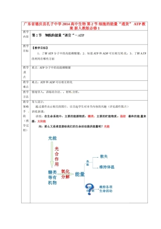 广东省德庆县孔子中学2014高中生物 第2节 细胞的能量“通货” ATP教案 新人教版必修1