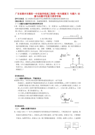 广东省惠州市惠阳一中实验学校高三物理一轮专题复习 专题六 动量与动量守恒复习课导学案