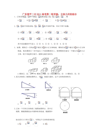 广东省饶平二中2011届高考数学第一轮复习 立体几何的综合（理）学案
