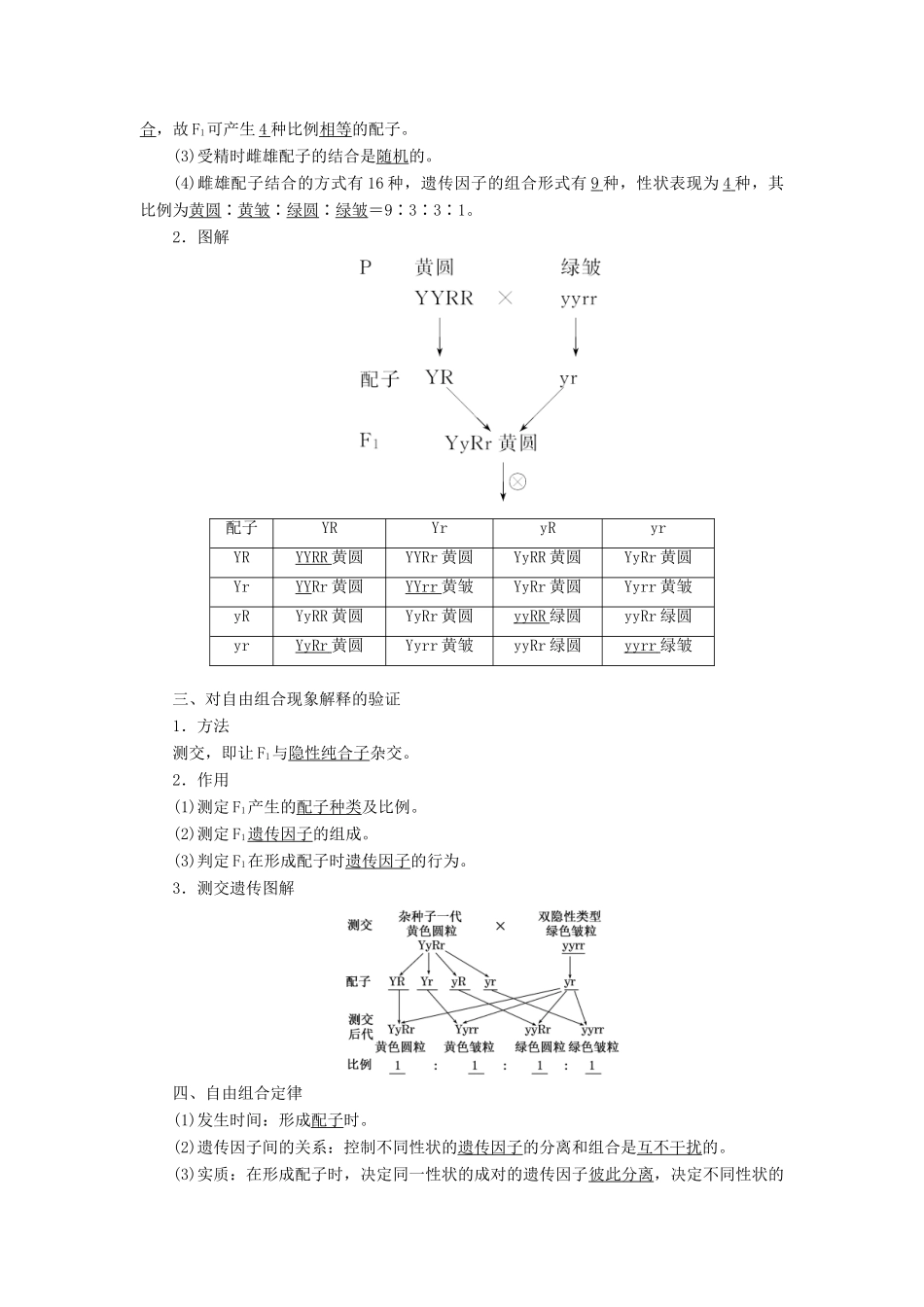 海南国科园实验学校2014年高中生物 1.2 孟德尔的豌豆杂交实验（二）导学设计 新人教版必修2_第2页