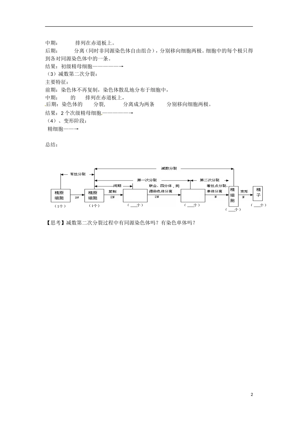 河北省高碑店市第三中学2015高中生物 第二章 减数分裂（第一课时）学案 新人教版必修2_第2页