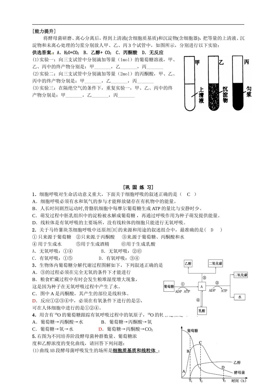 海南省海口市教育研究培训院2014高中生物 5.3ATP的主要来源 细胞呼吸学案 新人教版必修1_第3页
