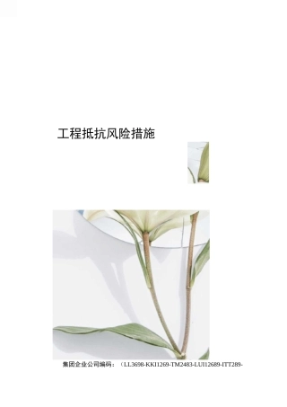 工程抵抗风险措施