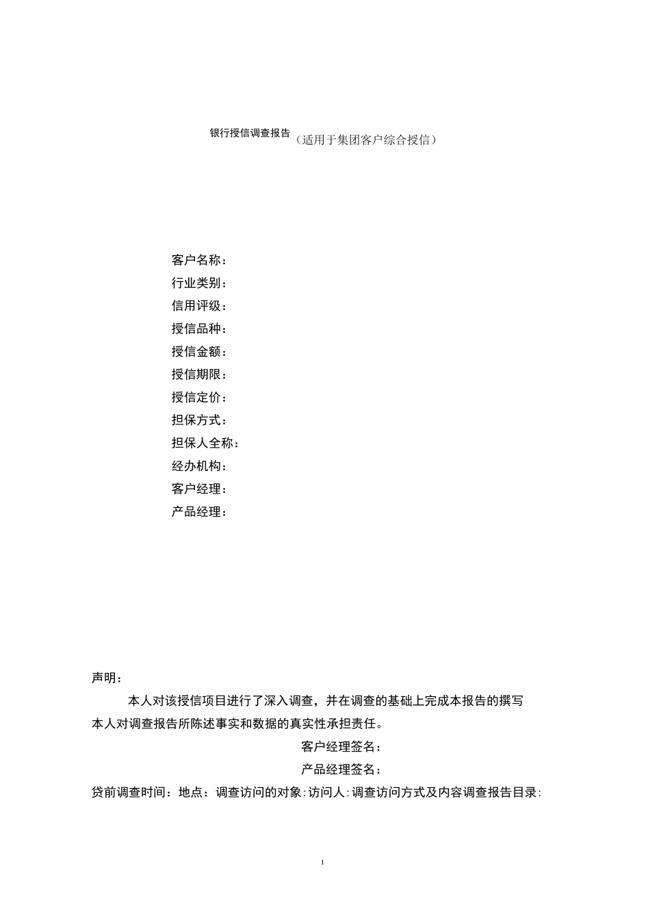 集团公司授信报告.详解_第1页
