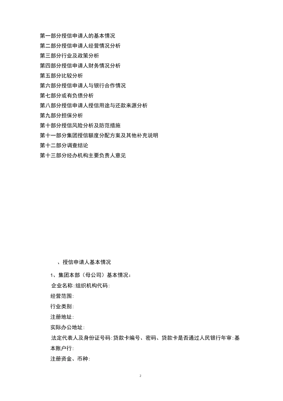 集团公司授信报告.详解_第2页