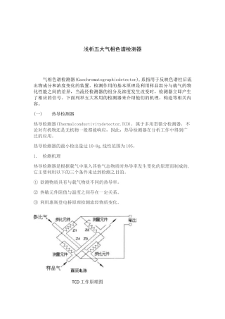 浅析五大气相色谱检测器