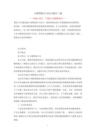 小额贷款公司实习报告三篇