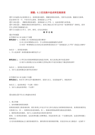 高中政治 6.2在实践中追求和发展真理学案 新人教版必修4