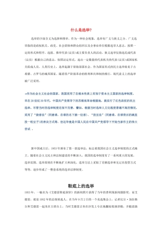 高中政治 《民主选举：投出理性的一票》文字素材2 新人教版必修2