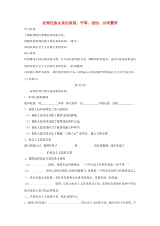 高中政治 第三单元 发展社会主义民主政治 第八课 民族区域自治制度和宗教工作基本方针 1 处理民族关系的原则：平等、团结、共同繁荣学案2（含解析）新人教版必修2-新人教版高一必修2政治学案