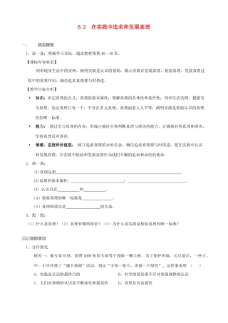 高中政治《在实践中追求和发展真理》学案11 新人教版必修4