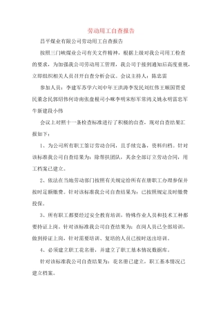 劳动用工自查报告