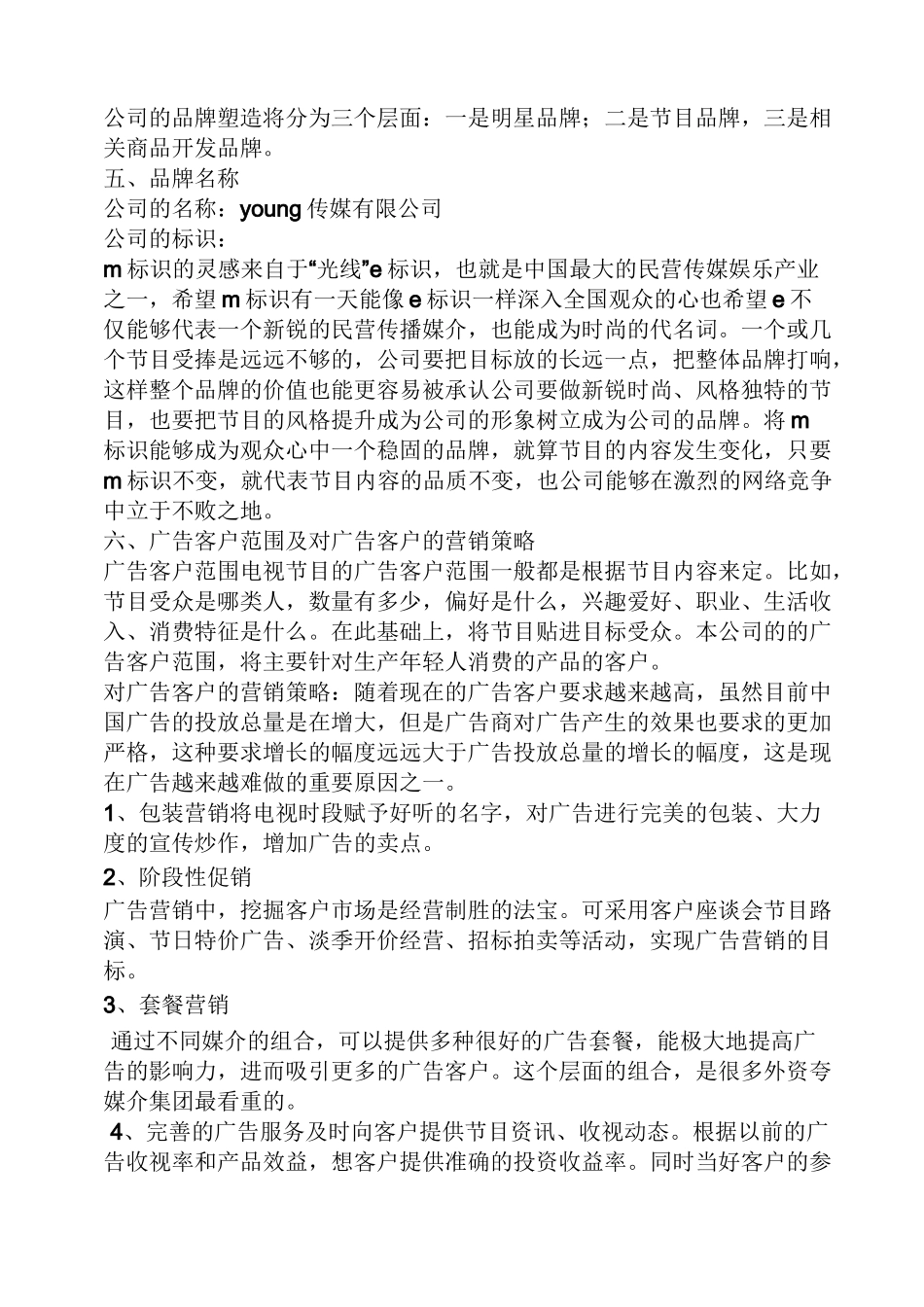 传媒策划方案_第3页