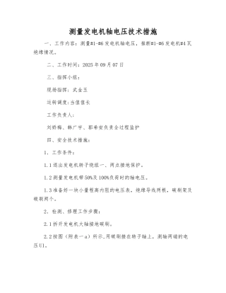 测量发电机轴电压技术措施