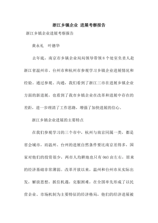 浙江乡镇企业-发展考察报告