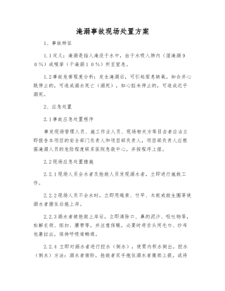 淹溺事故现场处置方案