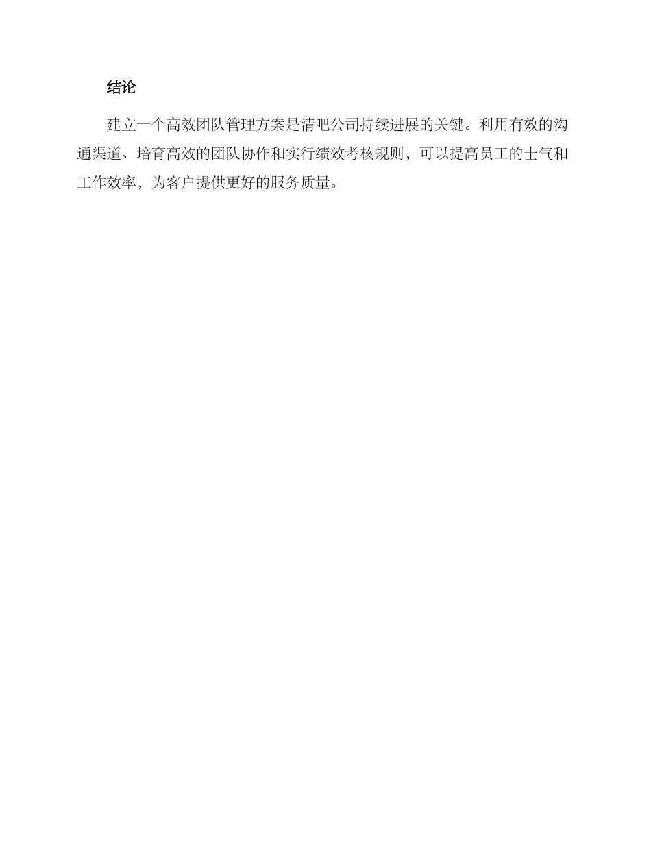 清吧团队分析方案_第3页