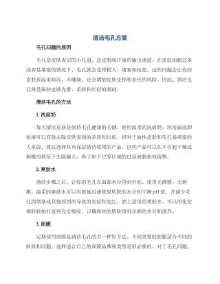 清洁毛孔方案