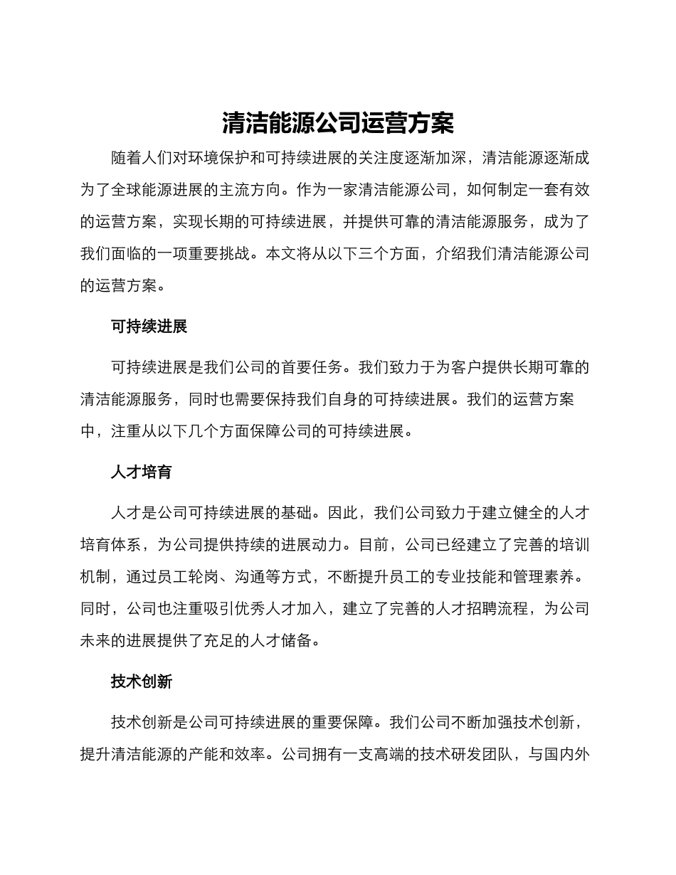 清洁能源公司运营方案_第1页