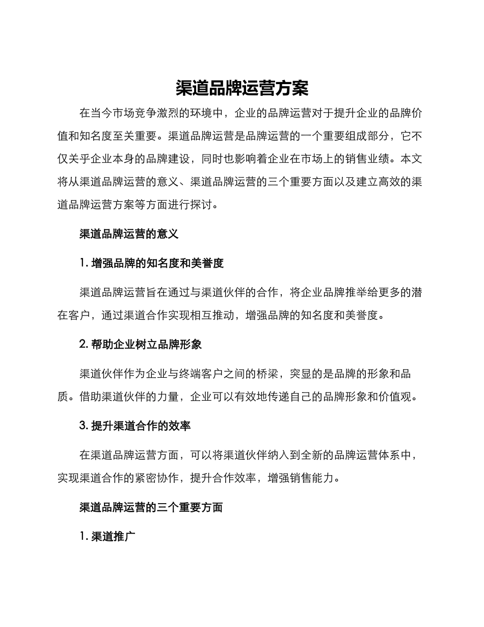 渠道品牌运营方案_第1页