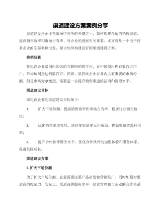 渠道建设方案案例分享