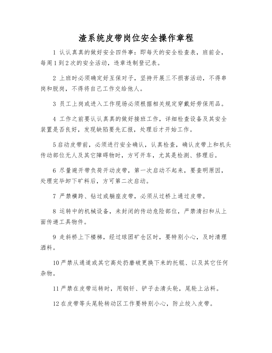 渣系统皮带岗位安全操作规程_第1页