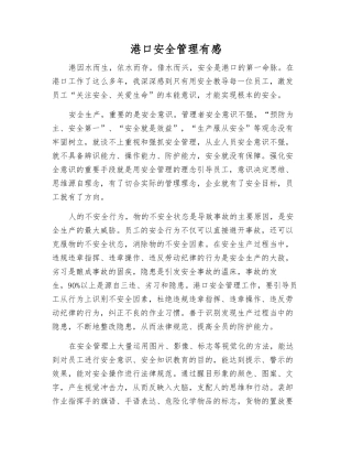 港口安全管理有感